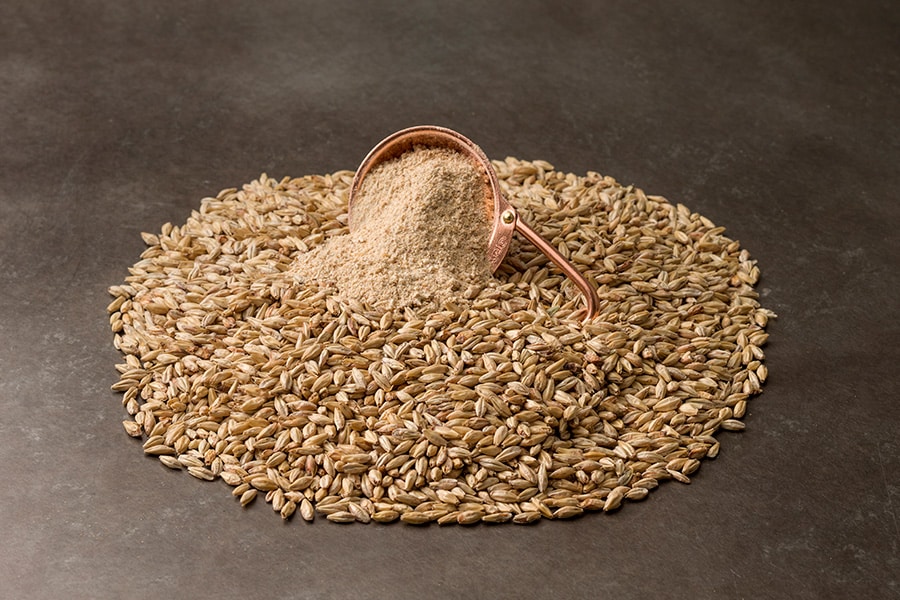 Malt grain both whole and milled