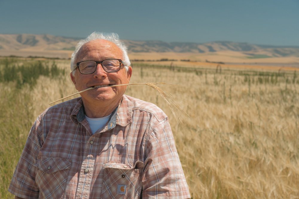 An older man standing in front of a barley field with a barley stalk in between his teeth.
