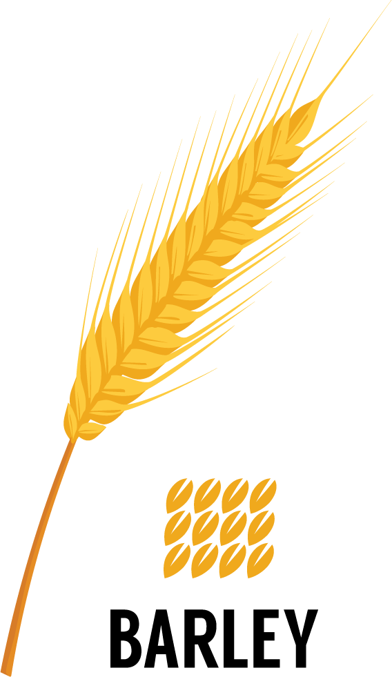 GWM Website - Barley A clip art style image of a barley stock with grains and the word "Barley" below.