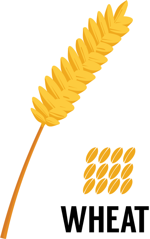 Wheat | Great Western Malting A clip art style image of a wheat stock with grains and the word "Wheat" below.