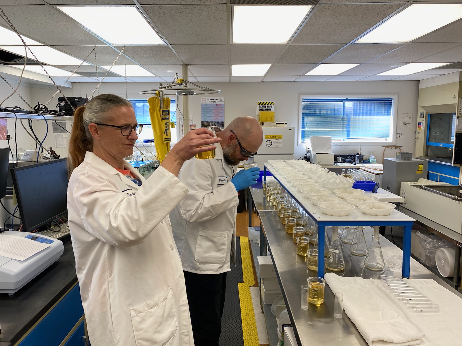 Woman in malt facility lab evaluating barley and malt samples for sensory and specification analysis