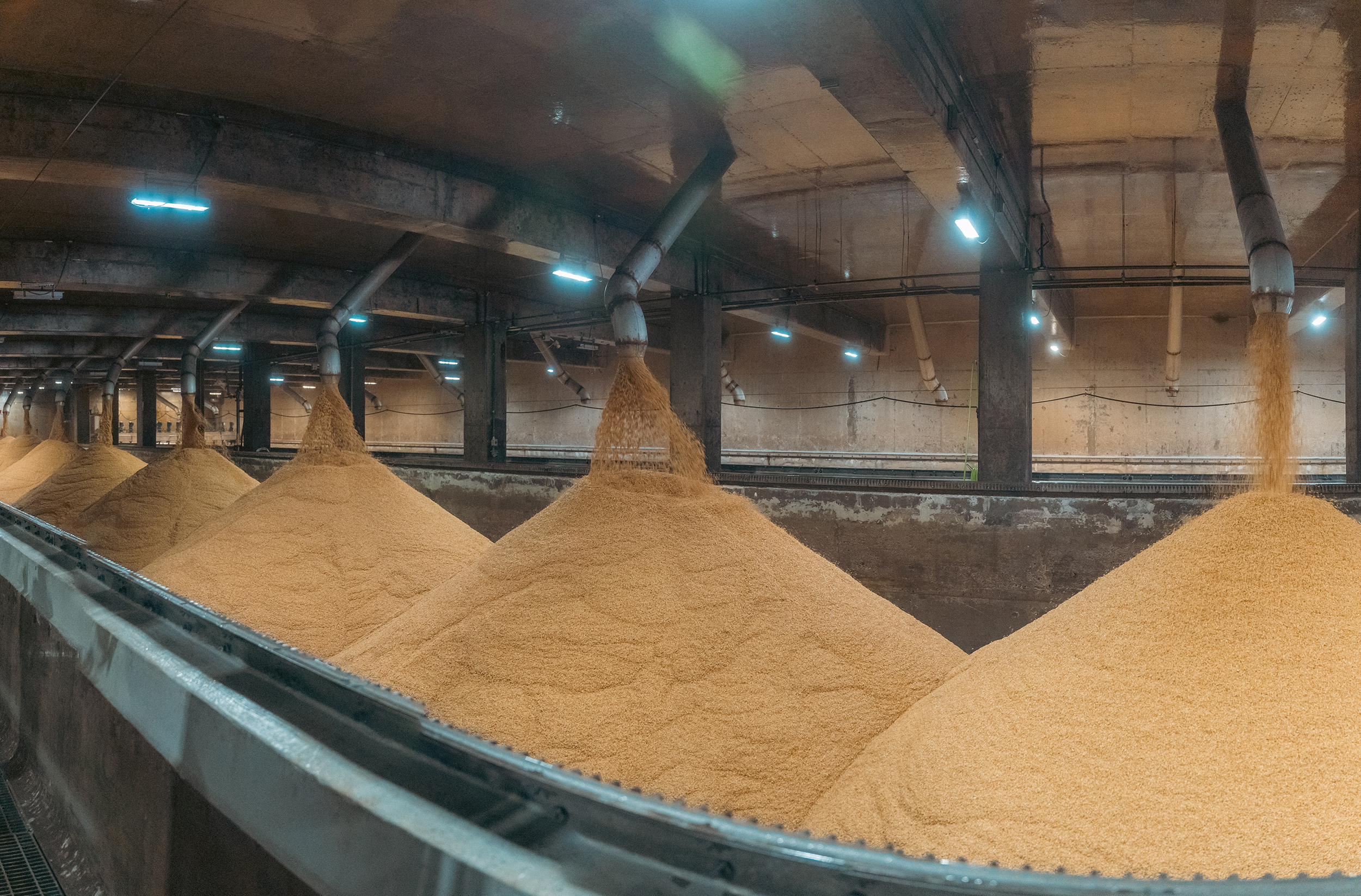 A concrete warehouse with many metal spouts hanging from the ceiling, dispensing grains into large piles.