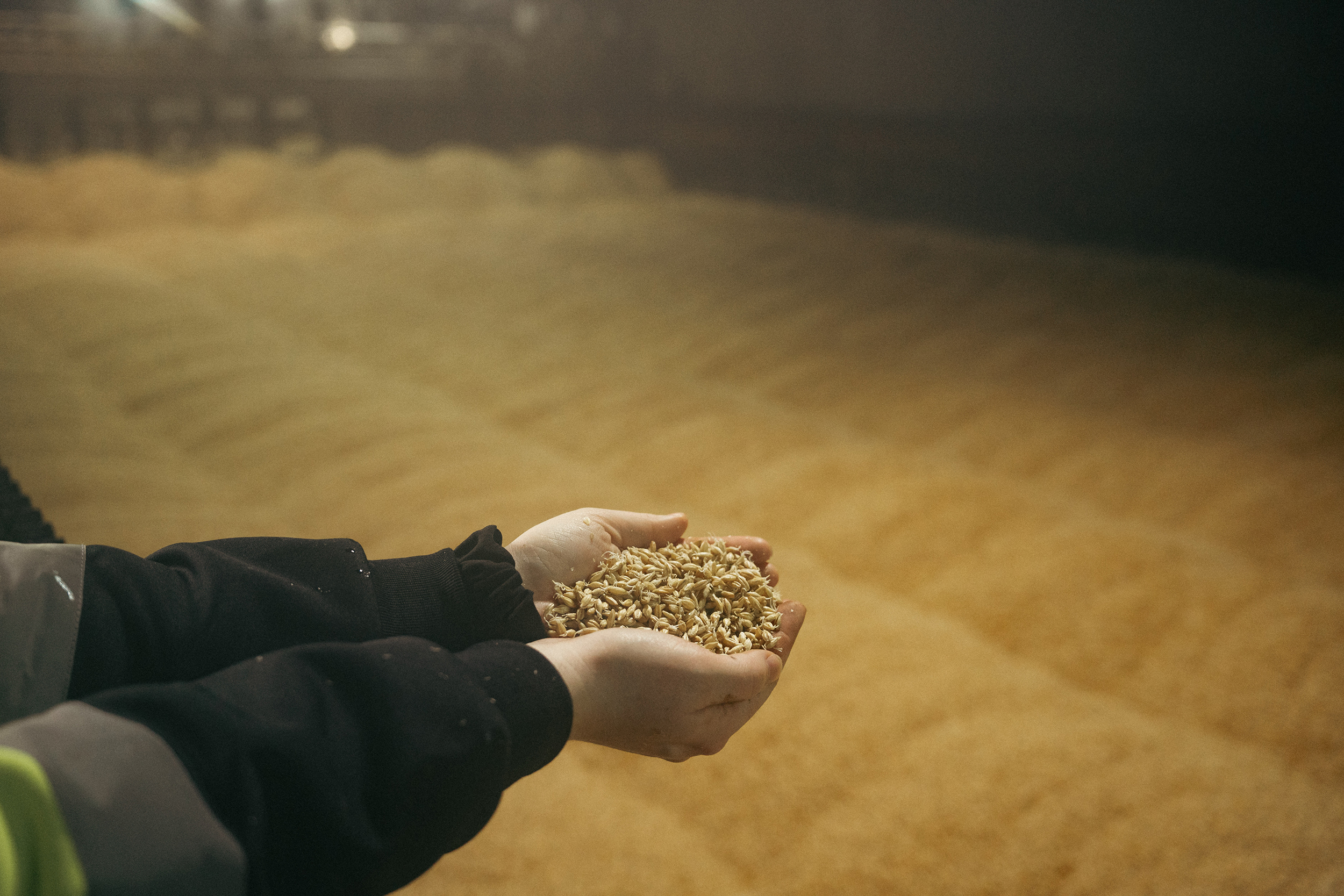 A person's hands full of grains with a room full of grains in the background.