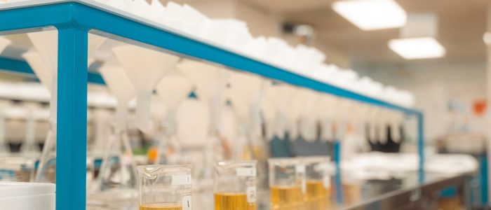 A lab table with four beakers, each half filled with an amber colored liquid.