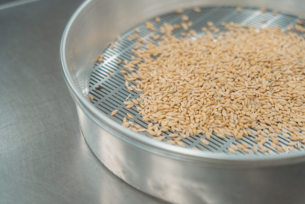 Close up image of malting barley analysis in the Great Western Malting technical lab